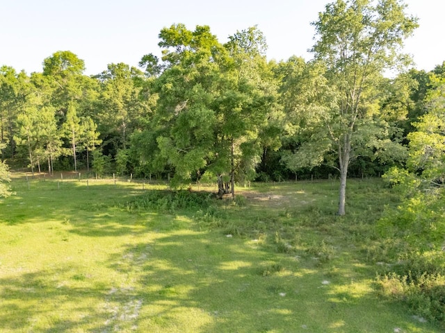 000 NE 75th St, Williston, FL 32696
