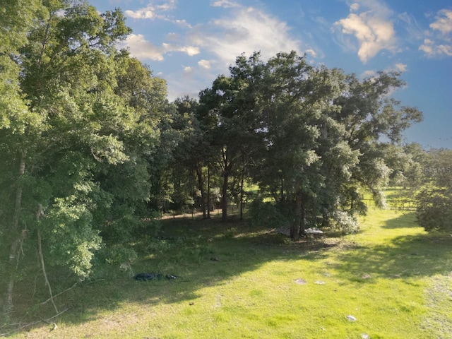 000 NE 75th St, Williston, FL 32696