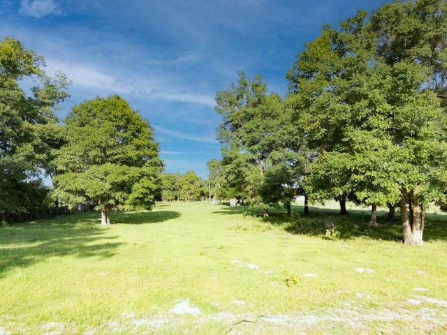 000 NE 75th St, Williston, FL 32696