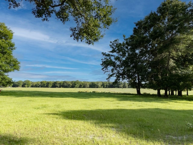 000 NE 75th St, Williston, FL 32696