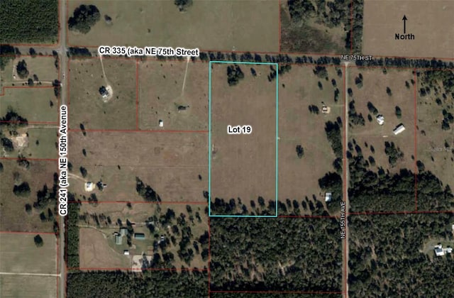 000 NE 75th St, Williston, FL 32696