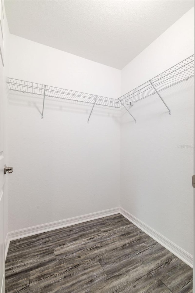 3897 SW 169th Lane Rd, Ocala, FL 34473 - walk in closet featuring dark wood-style flooring