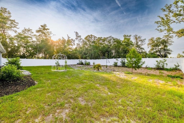 3897 SW 169th Lane Rd, Ocala, FL 34473 - view of yard