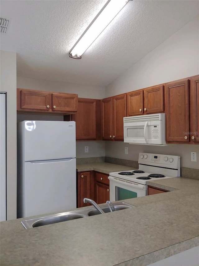 7843 W Solar Pl, Homosassa, FL 34448 - photo 8