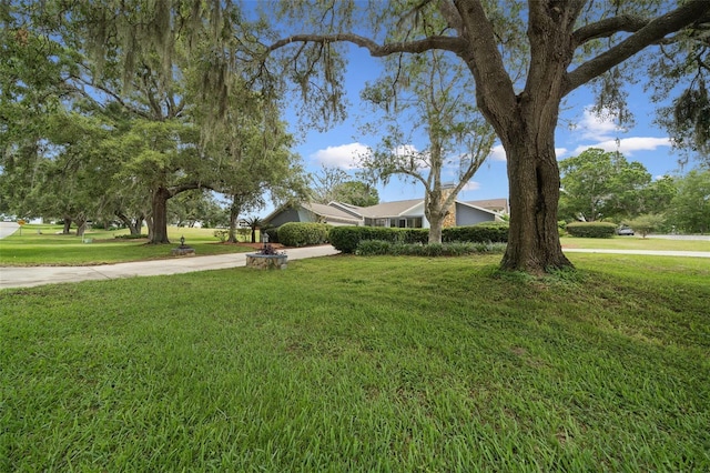 451 E Ireland Ct, Hernando, FL 34442 - view of front of home with a front yard and concrete driveway