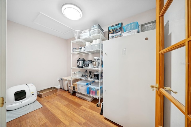 451 E Ireland Ct, Hernando, FL 34442 - storage featuring attic access