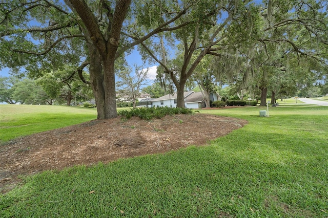 451 E Ireland Ct, Hernando, FL 34442 - view of green lawn