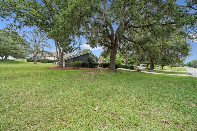 451 E Ireland Ct, Hernando, FL 34442 - view of grassy yard