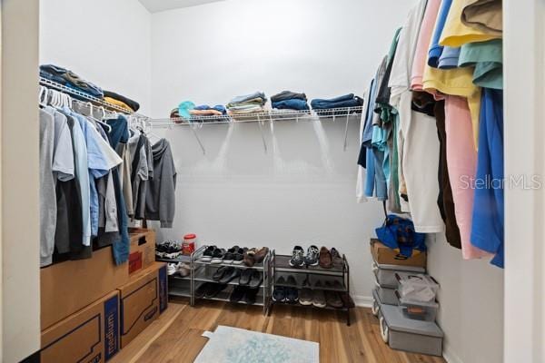 6235 SW 95th Pl, Ocala, FL 34476 - spacious closet with wood finished floors