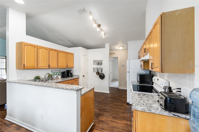 30 Bahia Trace Loop, Ocala, FL 34472 - kitchen with under cabinet range hood, black microwave, light stone countertops, and dark wood-style flooring