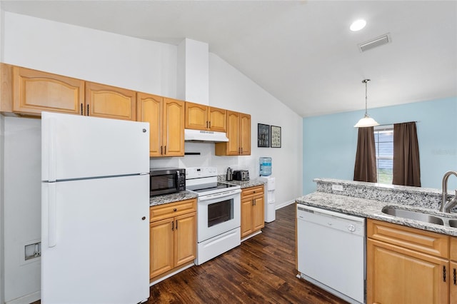 30 Bahia Trace Loop, Ocala, FL 34472 - kitchen with white appliances, a sink, under cabinet range hood, lofted ceiling, and light stone countertops