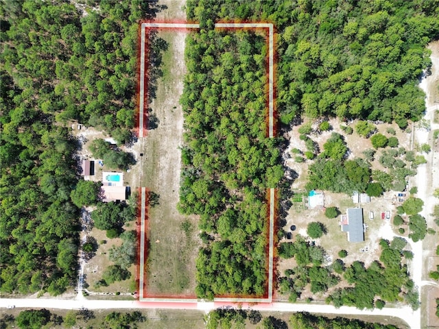 TBD SW 31st St, Dunnellon, FL 34432