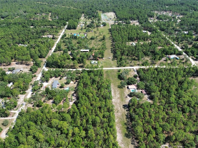 TBD SW 31st St, Dunnellon, FL 34432