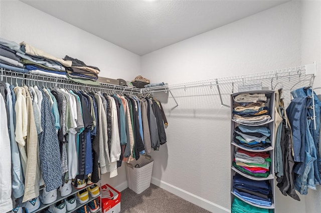 181 NW 45th Loop, Ocala, FL 34475 - spacious closet with carpet floors