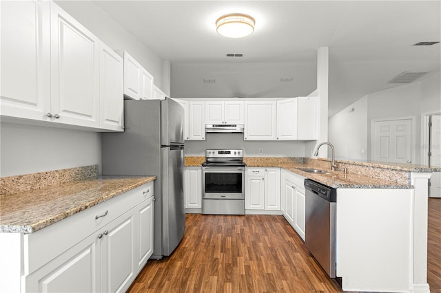 10016 SW 62nd Cir, Ocala, FL 34476 - kitchen with appliances with stainless steel finishes, a sink, under cabinet range hood, a peninsula, and dark wood-type flooring