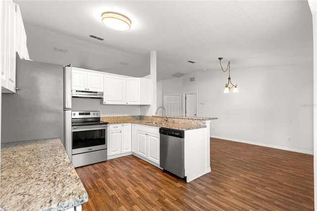 10016 SW 62nd Cir, Ocala, FL 34476 - kitchen featuring appliances with stainless steel finishes, under cabinet range hood, vaulted ceiling, a peninsula, and a sink