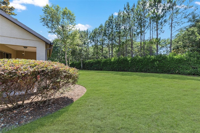 9170 SW 65th Loop, Ocala, FL 34481 - view of grassy yard