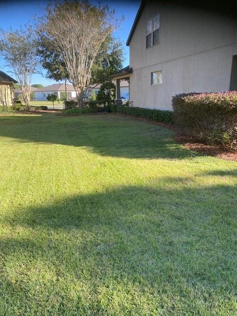 9170 SW 65th Loop, Ocala, FL 34481 - view of grassy yard
