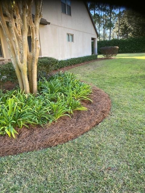 9170 SW 65th Loop, Ocala, FL 34481 - view of home's exterior featuring a yard and stucco siding