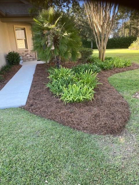 9170 SW 65th Loop, Ocala, FL 34481 - view of grassy yard