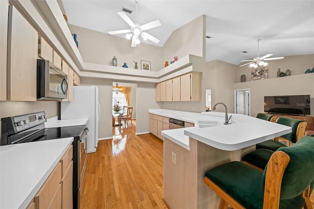 11147 SW 53rd Cir, Ocala, FL 34476 - kitchen featuring stainless steel appliances, ceiling fan, a sink, open floor plan, and light countertops