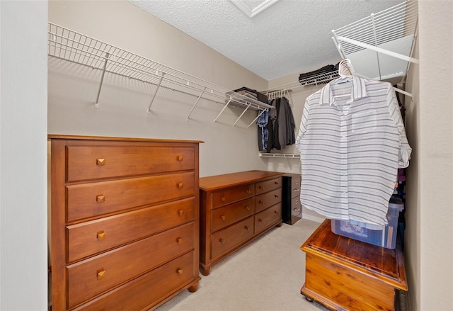 11147 SW 53rd Cir, Ocala, FL 34476 - walk in closet with light carpet