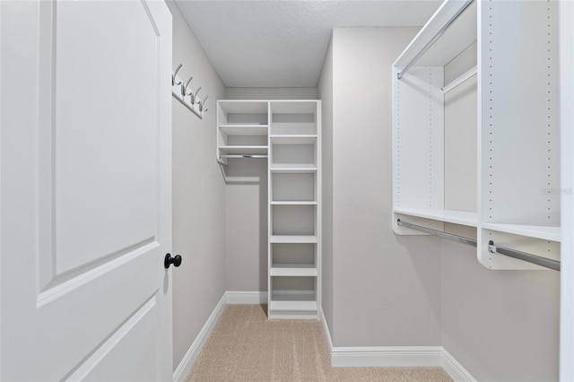 8293 SE 158th St, Summerfield, FL 34491 - spacious closet with carpet floors