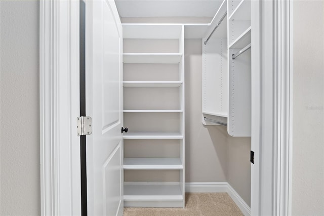 8293 SE 158th St, Summerfield, FL 34491 - spacious closet featuring carpet flooring
