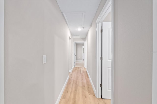 8293 SE 158th St, Summerfield, FL 34491 - hallway featuring light wood finished floors and baseboards