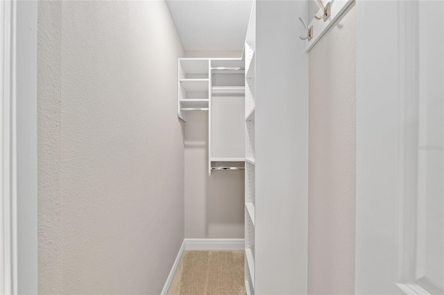 8293 SE 158th St, Summerfield, FL 34491 - spacious closet featuring carpet