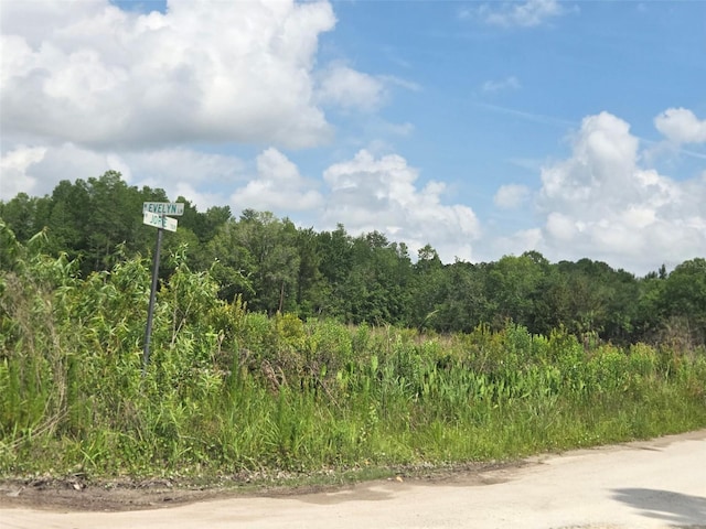 1146 N Jorie Ter, Crystal River, FL 34429