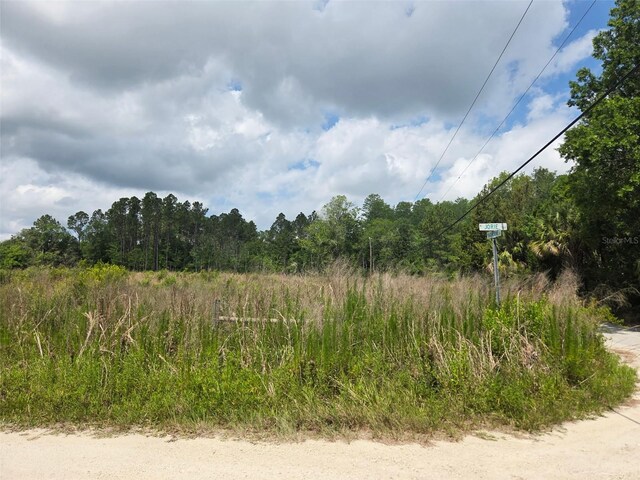 1146 N Jorie Ter, Crystal River, FL 34429