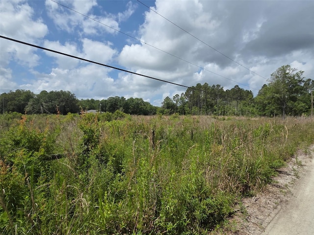 1146 N Jorie Ter, Crystal River, FL 34429