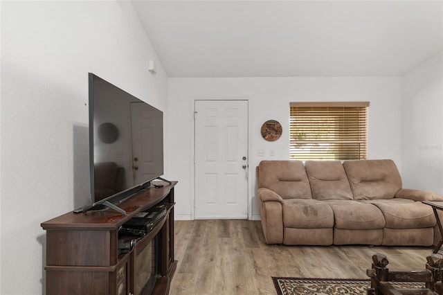 1601 NE 47th Ct, Ocala, FL 34470 - living area with light wood-type flooring and lofted ceiling