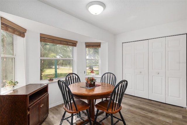 1601 NE 47th Ct, Ocala, FL 34470 - dining space with light wood-style flooring