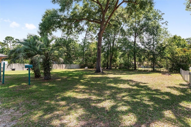 1601 NE 47th Ct, Ocala, FL 34470 - view of yard