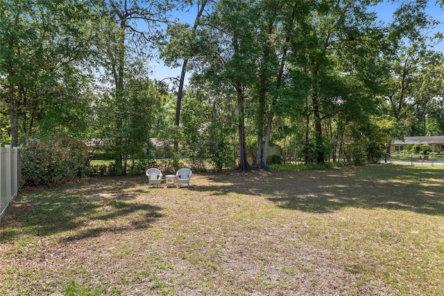 1601 NE 47th Ct, Ocala, FL 34470 - view of yard
