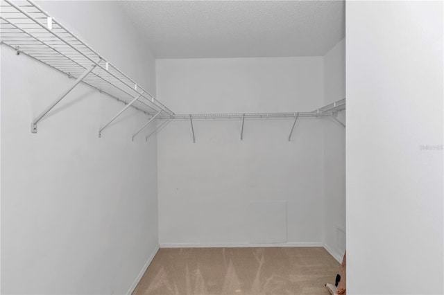 2608 Botello Ave, The Villages, FL 32162 - walk in closet featuring carpet flooring