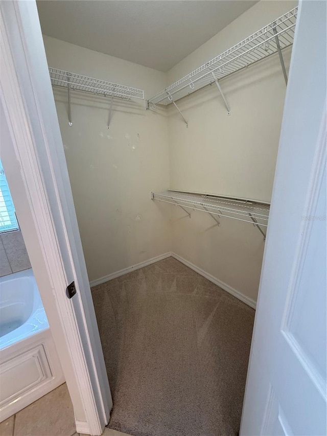 206 SE 8th Ave, Williston, FL 32696 - spacious closet featuring carpet flooring