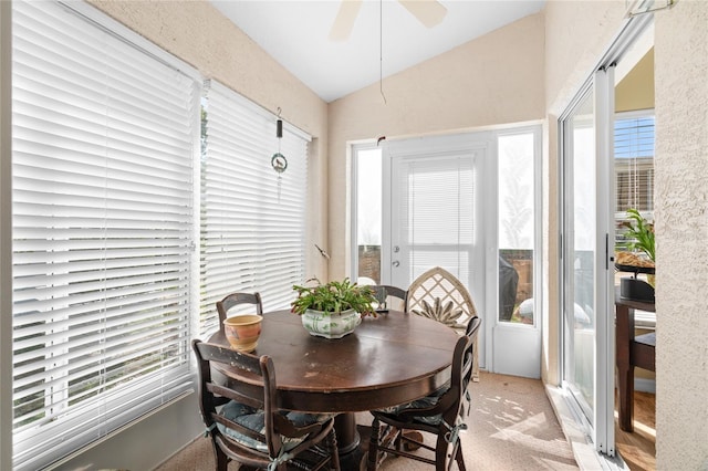 10468 S Drew Bryant Cir, Floral City, FL 34436 - sunroom / solarium with vaulted ceiling