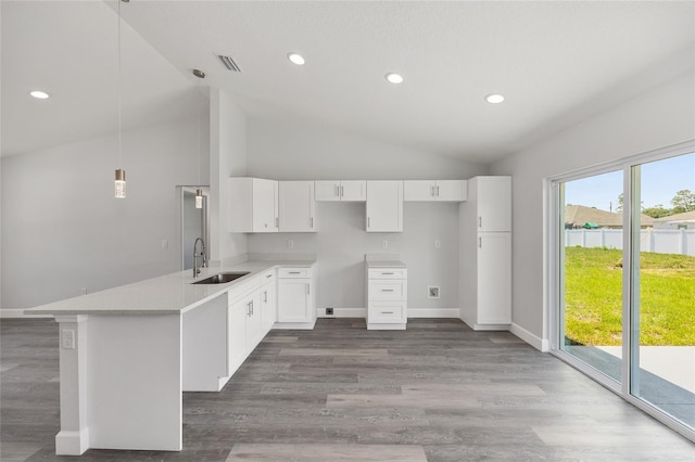 16697 SW 30 Avenue Rd, Ocala, FL 34473 - kitchen with a sink, lofted ceiling, white cabinetry, a peninsula, and wood finished floors