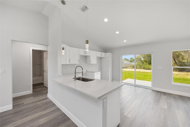 16697 SW 30 Avenue Rd, Ocala, FL 34473 - kitchen with a sink, lofted ceiling, white cabinets, wood finished floors, and healthy amount of natural light