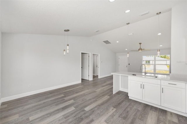 16697 SW 30 Avenue Rd, Ocala, FL 34473 - kitchen with a sink, open floor plan, lofted ceiling, decorative light fixtures, and white cabinets