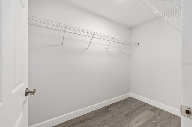 16697 SW 30 Avenue Rd, Ocala, FL 34473 - walk in closet with dark wood-style flooring