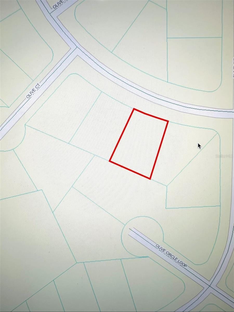 Olive Rd, Ocala, FL 34472