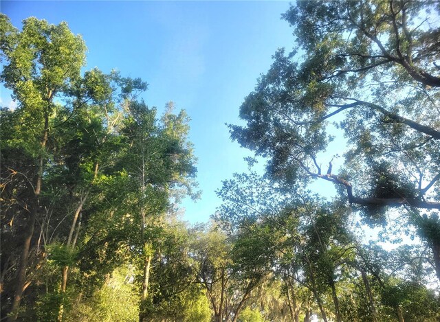 3740 NE 5th St, Ocala, FL 34470 - view of nature