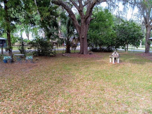 22736 SW 117th St, Dunnellon, FL 34431 - view of yard