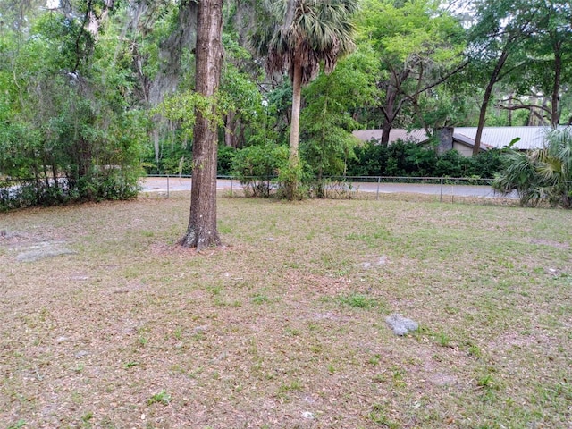 22736 SW 117th St, Dunnellon, FL 34431 - view of yard