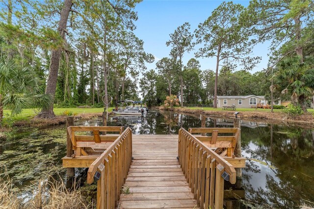 22736 SW 117th St, Dunnellon, FL 34431 - photo 60