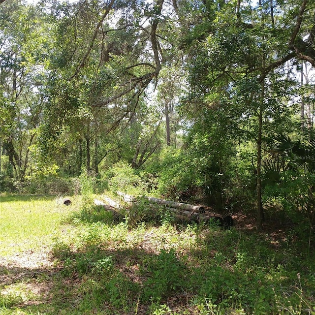 2319 W Wildflower Ct, Dunnellon, FL 34434